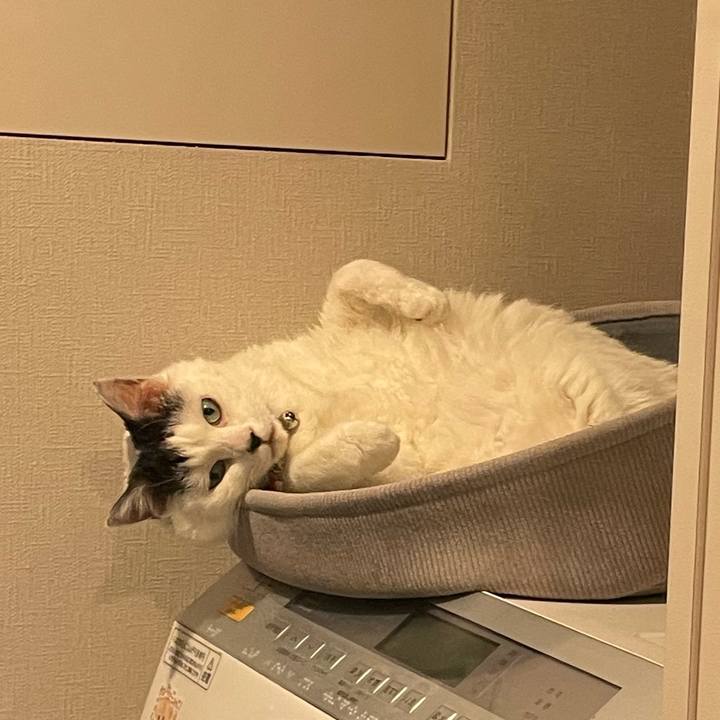 Cef3e4ac 63d2 4930 a12e cad49896eb38 1764891238334