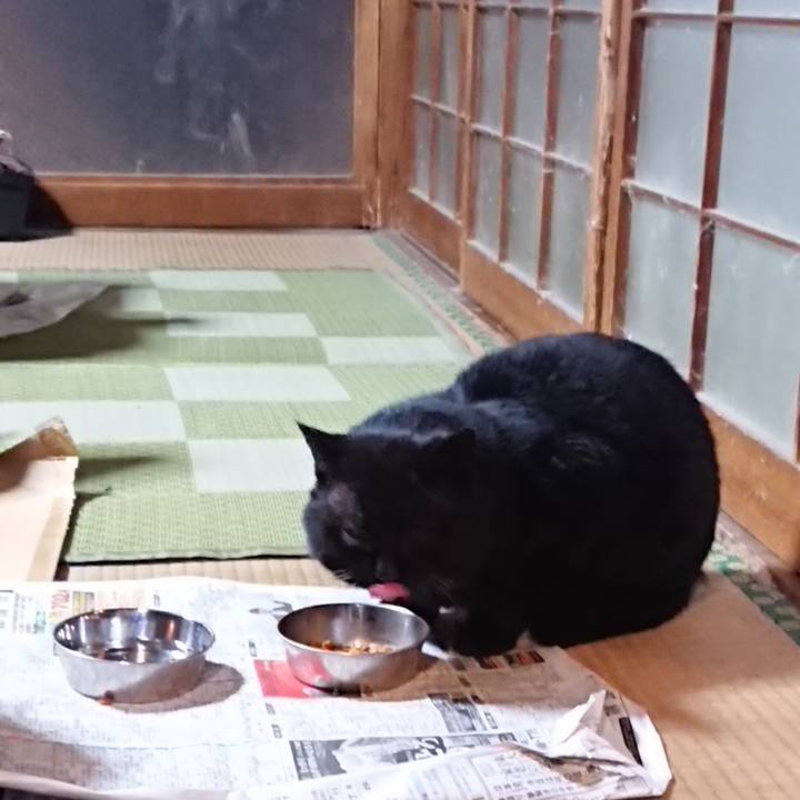 Cef3f46a 76d4 4fa6 926f d66bf934cdb0 1615379217513