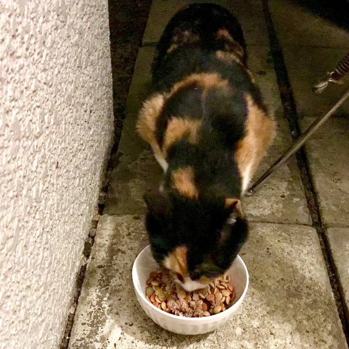 Cef443e7 0a93 49fb 9f3d f87f597163e1 1527653282409