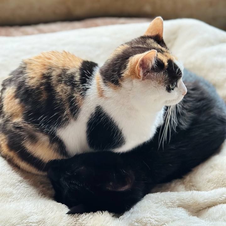 Cef45ba2 c9bf 4843 a2a4 0422a0527cb8 1709257952557