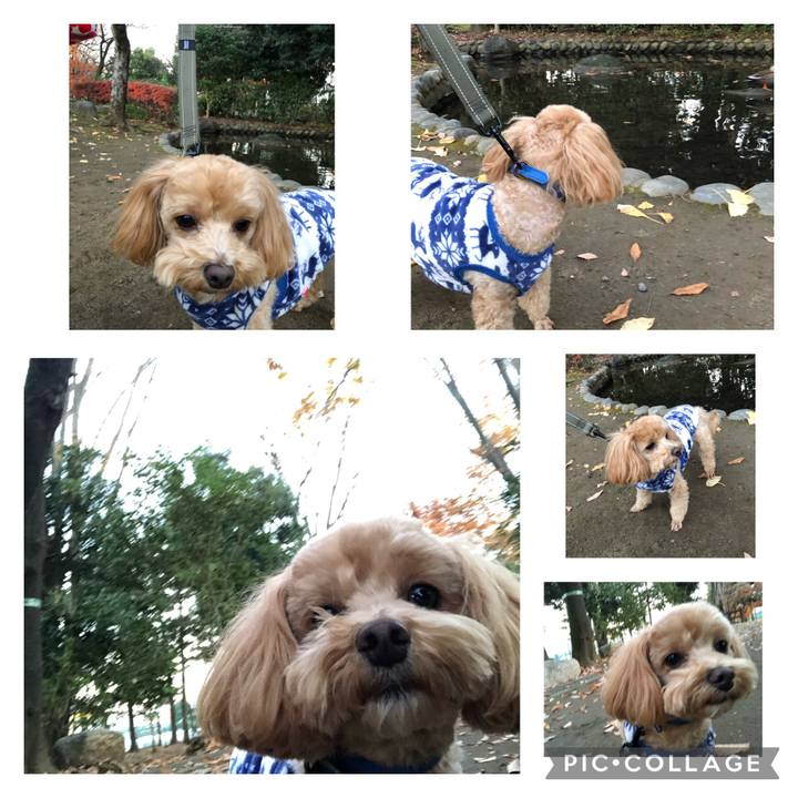 Cef4a2e5 0c47 4ee7 b00a 964628855a4a 1639297871586