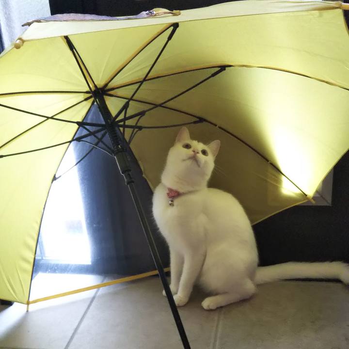 Cef4bbdd c9e1 410f 8c78 1b2be1b6d134 1625011276849