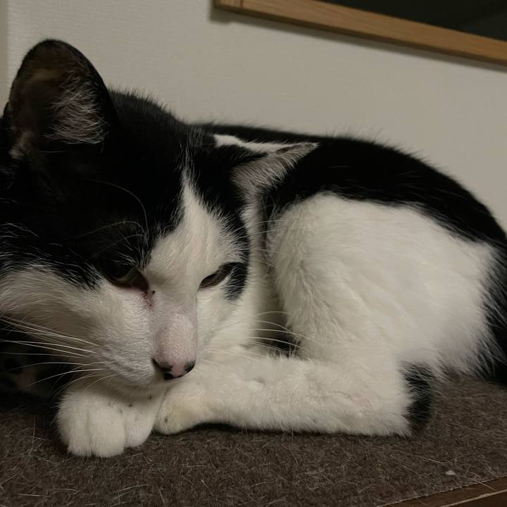 Cef4c051 1749 49f7 9988 b7813f183015 1666454603731