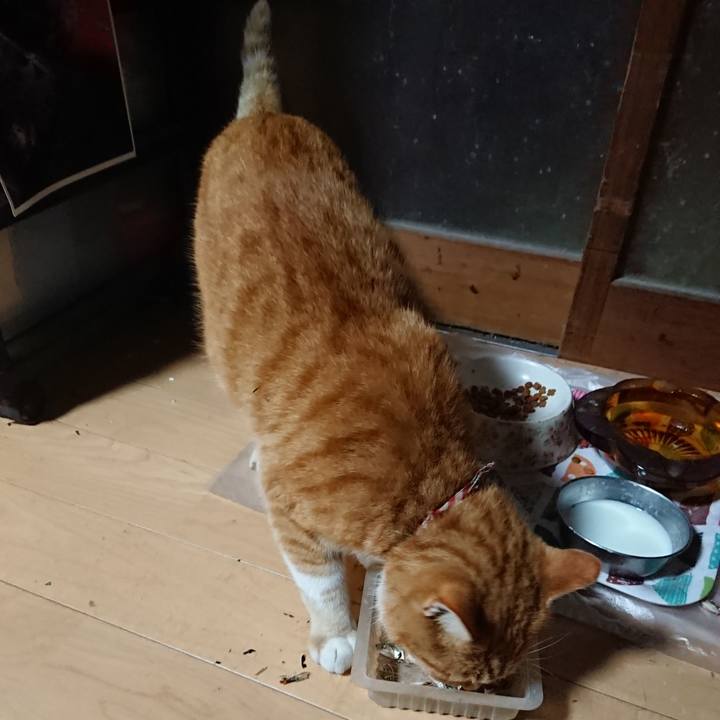 Cef4c763 d6db 42a7 943d 7036069f3be9 1605512462221