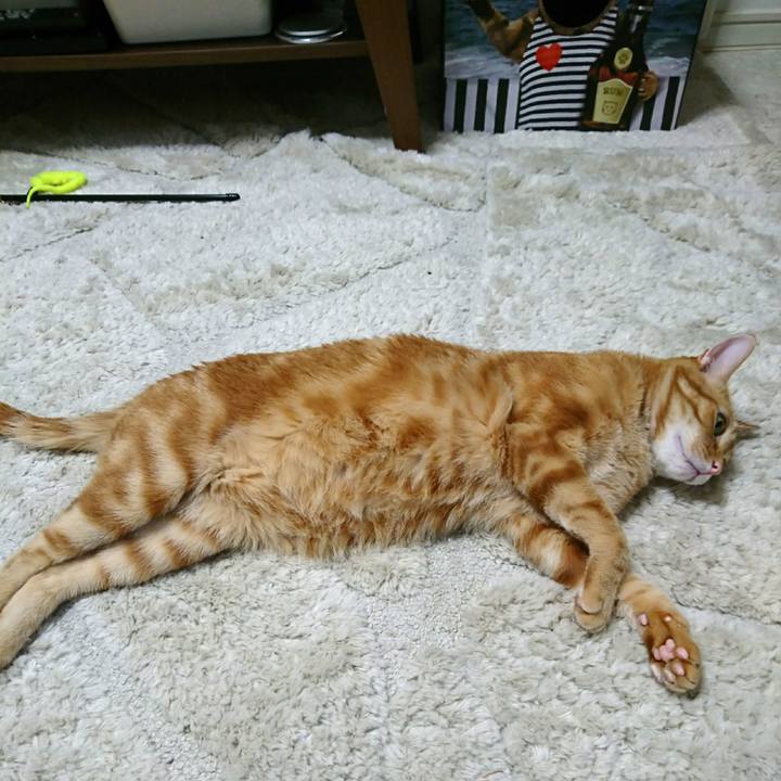 Cef4d387 ecfd 4b38 be76 84a69d7f4bbd 1559773161555