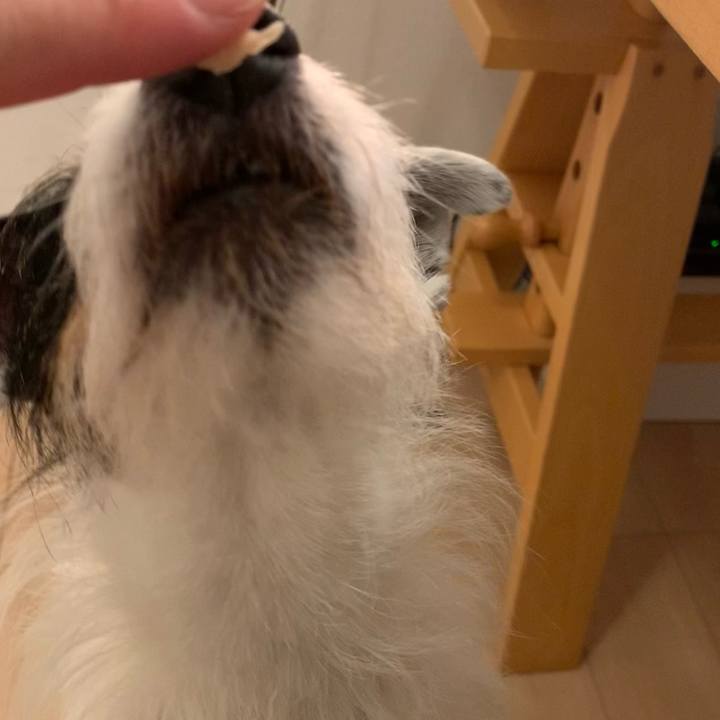 Cef51f5d 82ff 47f1 8b30 25ef021f04d6 1714992386850