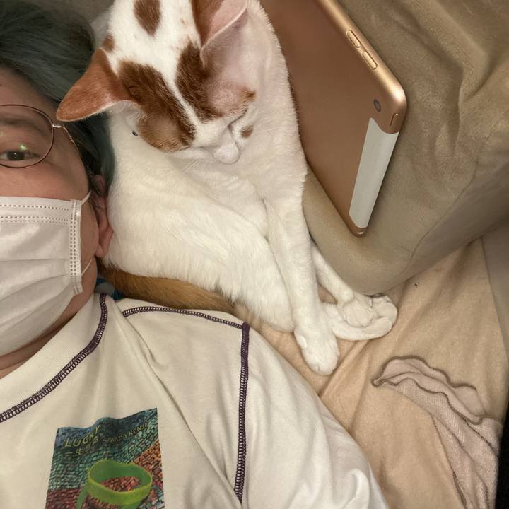 Cef53afe c33a 46e4 a9f9 308cadc1d729 1761801843542