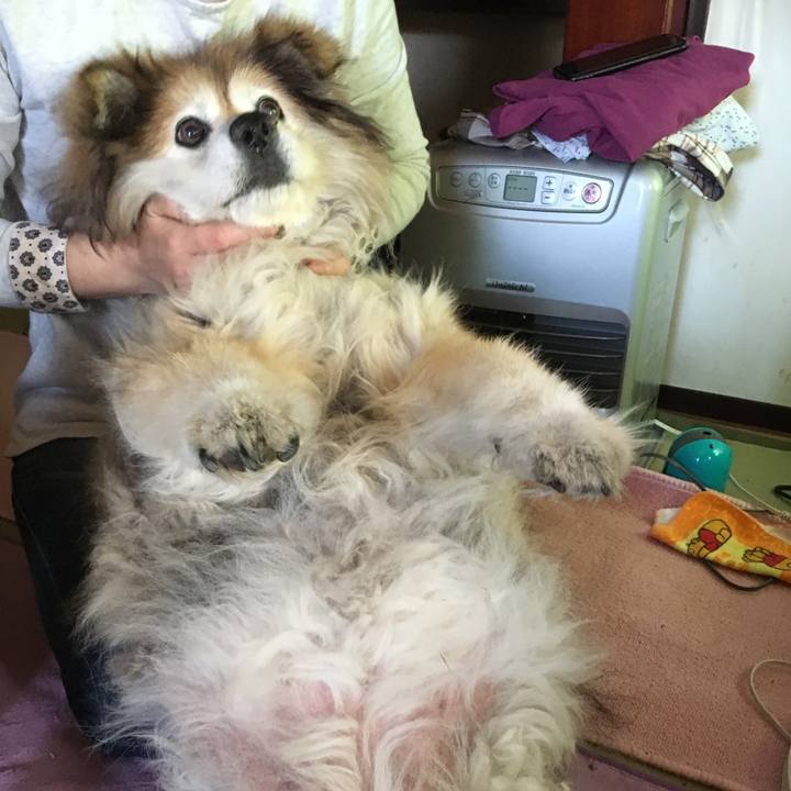 Cef53b68 4a18 4229 ba7a ba6321ac7166 1557016188434