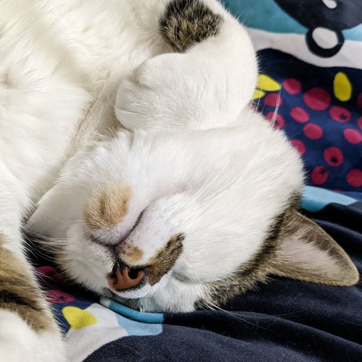 Cef53d93 7a37 4180 9f37 f701d9a0ae55 1668318409358