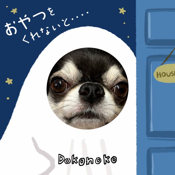 Cef58b47 898e 4eef 9636 b3c2c4796a87 1730503370997