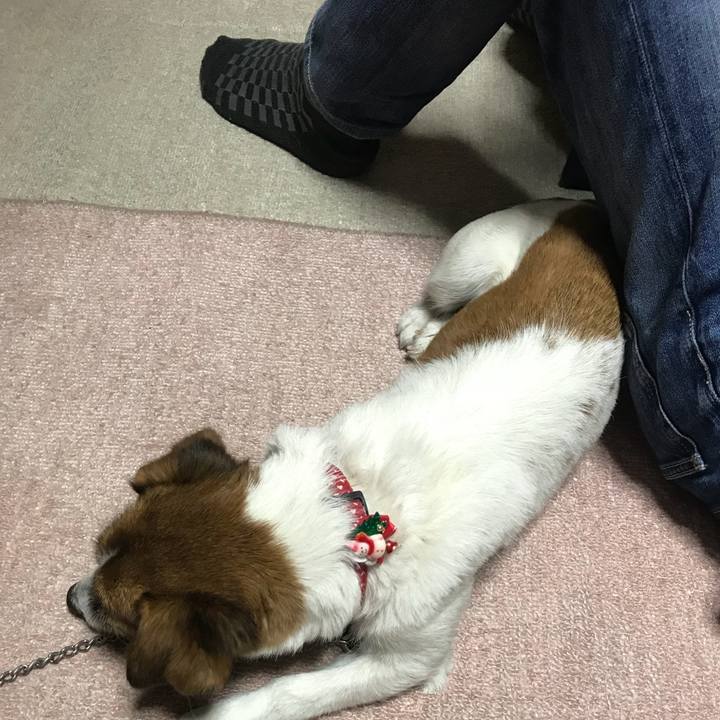 Cef5992e f905 41da a195 c2e345ccaaf7 1545910746236