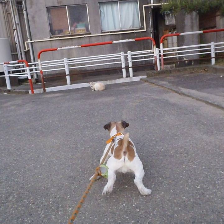 Cef5b2f9 8a4e 4aec 8ee6 060ad977591a 1526974151971