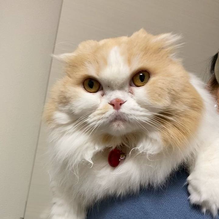 Cef5c946 1d41 4765 8ec3 9a3cd8929f5b 1618126815930