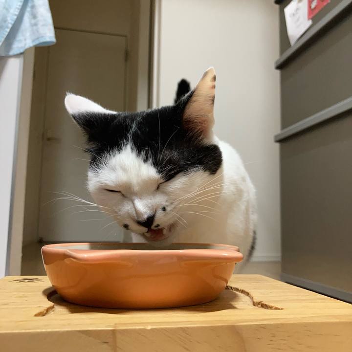 Cef5f243 7855 4497 8239 7dab67d0f384 1757190644935