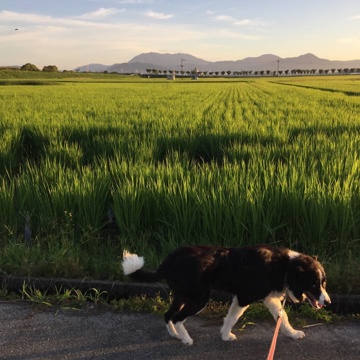 Cef600fb f98f 4db1 b1fb 6bb64520c286 1535232836633