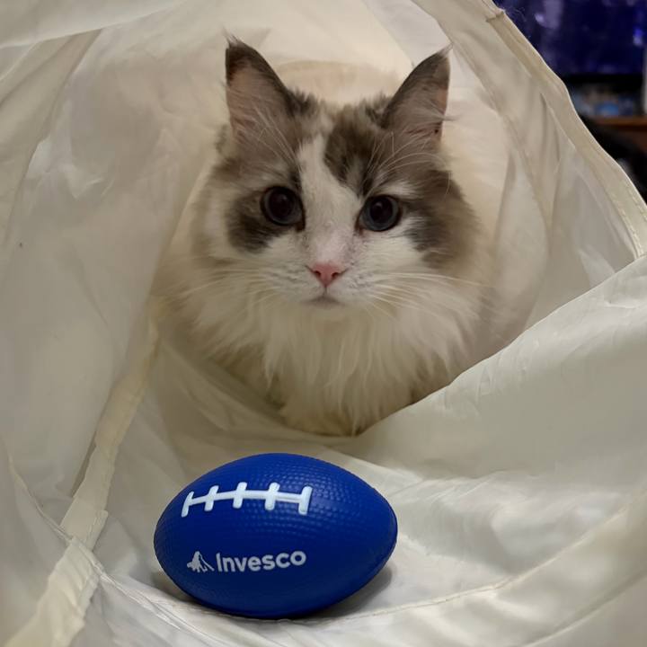 Cef60db2 3211 48b6 ae8b 56747e4e9a27 1769863651485