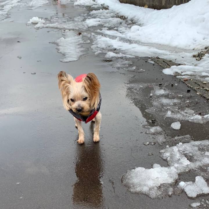 Cef60f4f 9abe 48c8 9e38 26e91d76b8a2 1639555938049