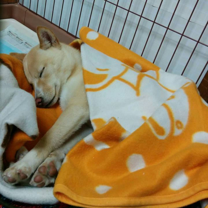 Cef6197d 8163 4616 abc2 131e2b148c65 1511014163040