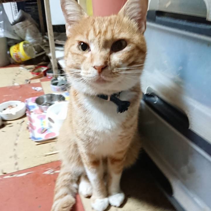 Cef66e88 9d14 4cb4 868e 30517e8d3d31 1567455328032