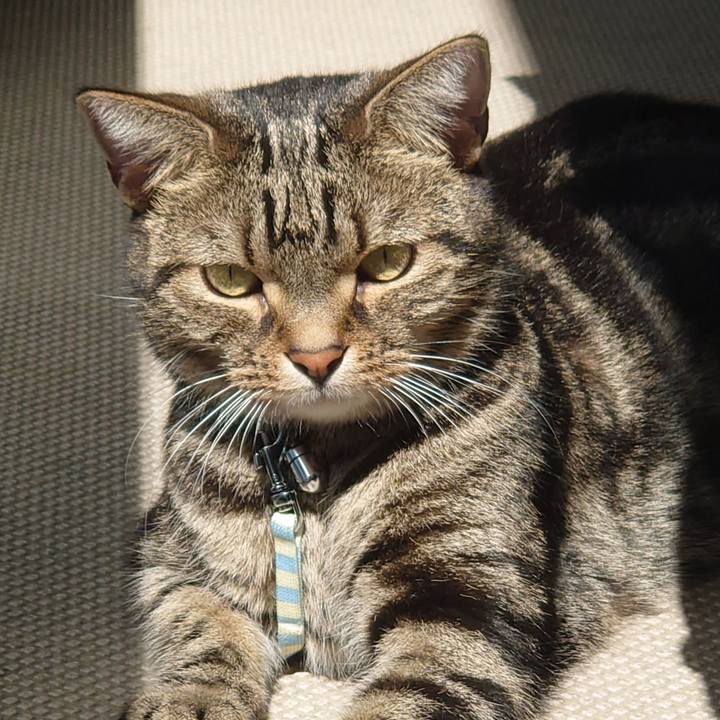 Cef67add 5654 487a b2ed 1a225ee78adb 1632103120146