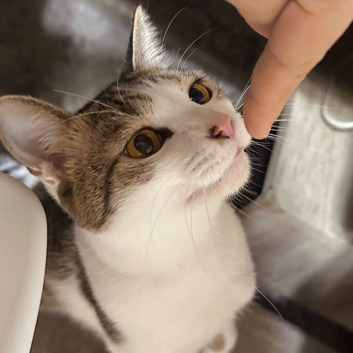 Cef689b5 0678 4675 b34c 8c2535423949 1764584629942