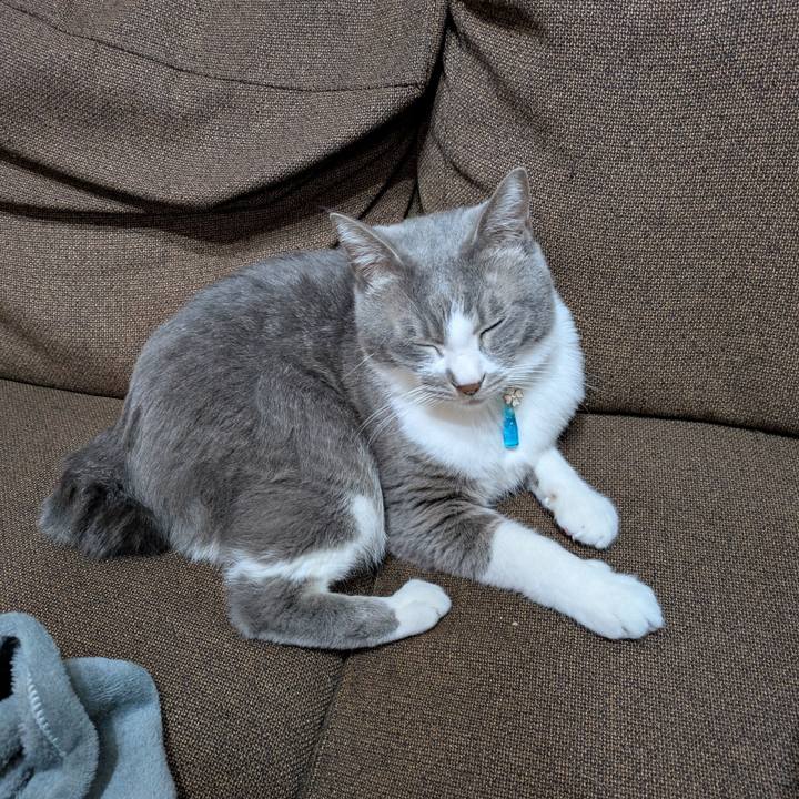 Cef6a581 6e0c 42c6 b7f0 285c98297d79 1736603486882