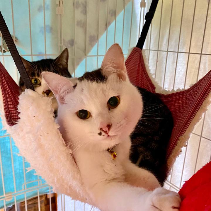 Cef6abbc ddea 40f6 a291 bffee03e5c63 1705738047639