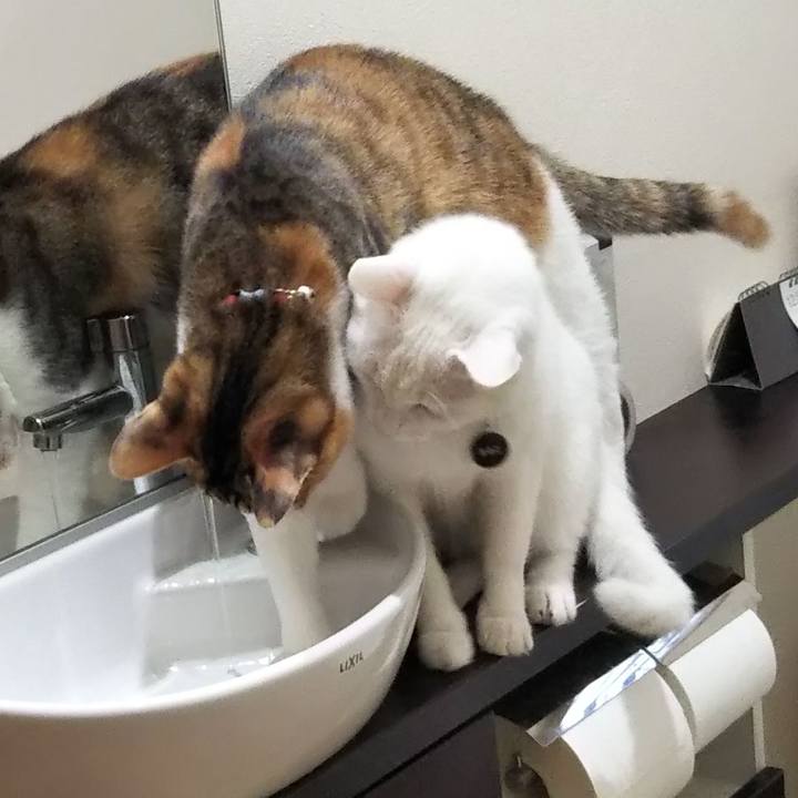 Cef6b7e3 6023 43dd b4c0 d59f67332a07 1640405208287