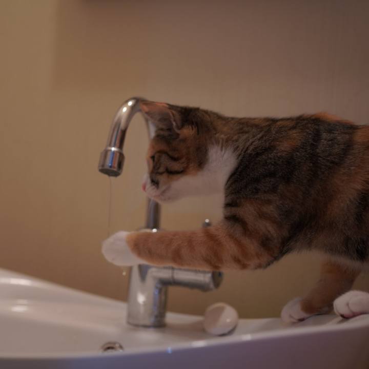 Cef6c3be 44b2 4f23 8858 cf6e570cb939 1576454320070