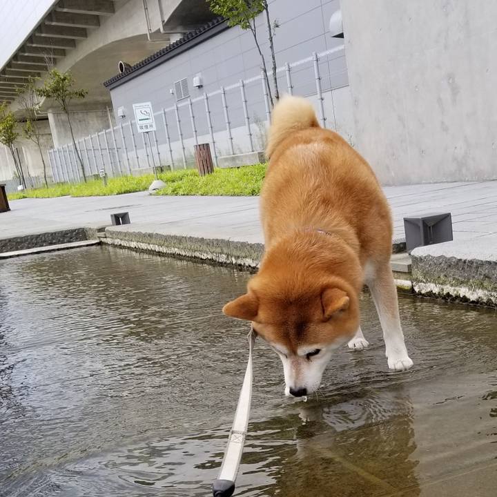 Cef72924 30ab 4c3f 8f73 f4a1decfc890 1567499182605