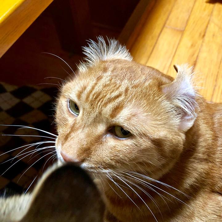 Cef729ae 38d9 4362 a042 6ffb69415064 1531657122001