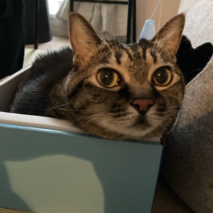 Cef76b7e 1903 4f62 96ef deb55c446837 1723885142528