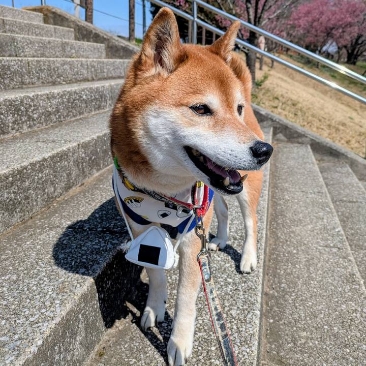 Cef787f2 a401 4b8c 8aae 2952b9330638 1773201582071