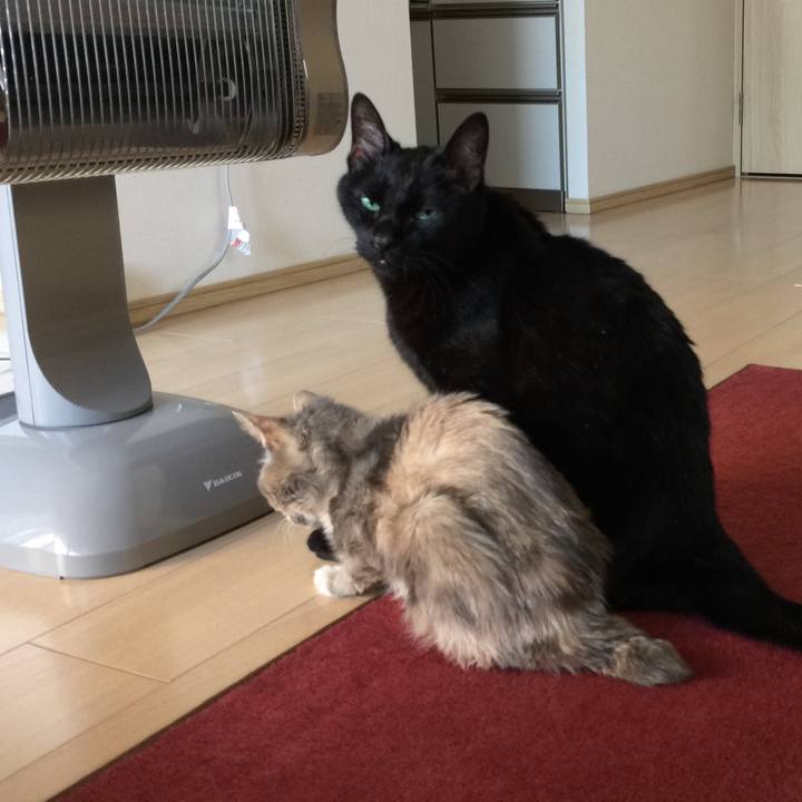 Cef79211 9a10 4c22 8e14 18ce600e8cb7 1517715482259