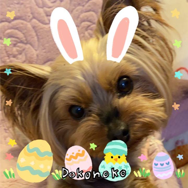 Cef7a4bd 29fc 434e 9af3 cc72e1b3f348 1712552050313