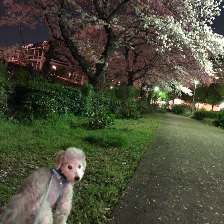 Cef7df2c 7920 435a bfb0 48a4fac3da57 1585870835871