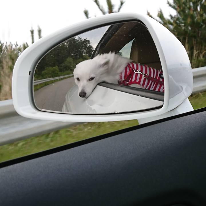 Cef80ab6 c9b7 416a 8fa3 5902a60bd6aa 1525414250584