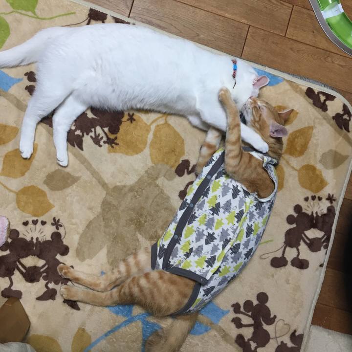 Cef818ff 7535 47ad b936 a0ad6381d793 1511021127913