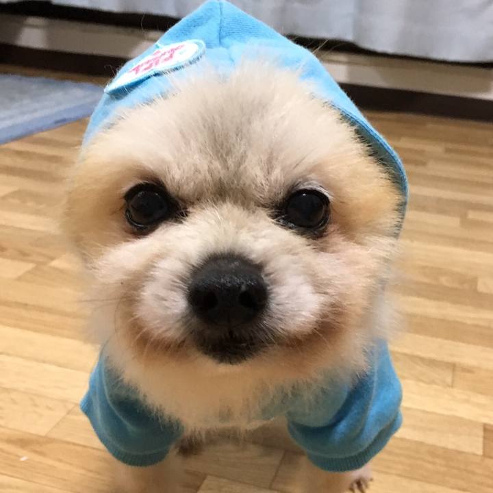 Cef81b6b e49a 49eb 90c8 dca1f68e1998 1509140149303