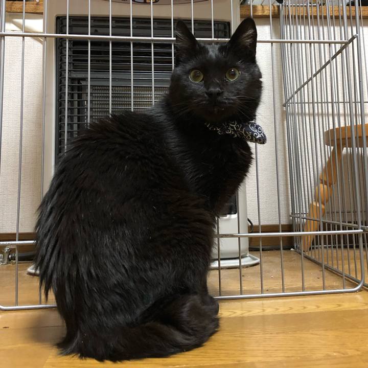 Cef868e1 3b33 4c91 bcb7 b6e175ece217 1582020594194