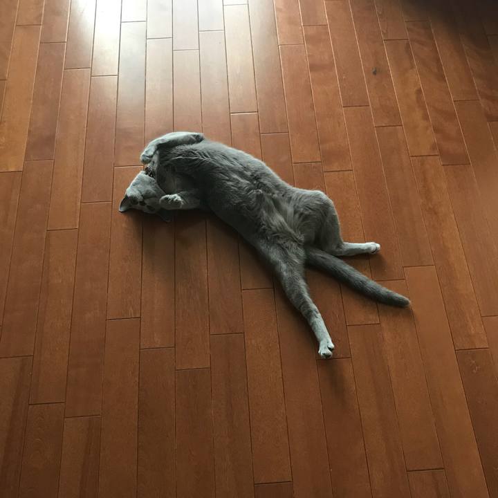 Cef86953 f087 4777 9250 c9611c7de2f3 1531541337012