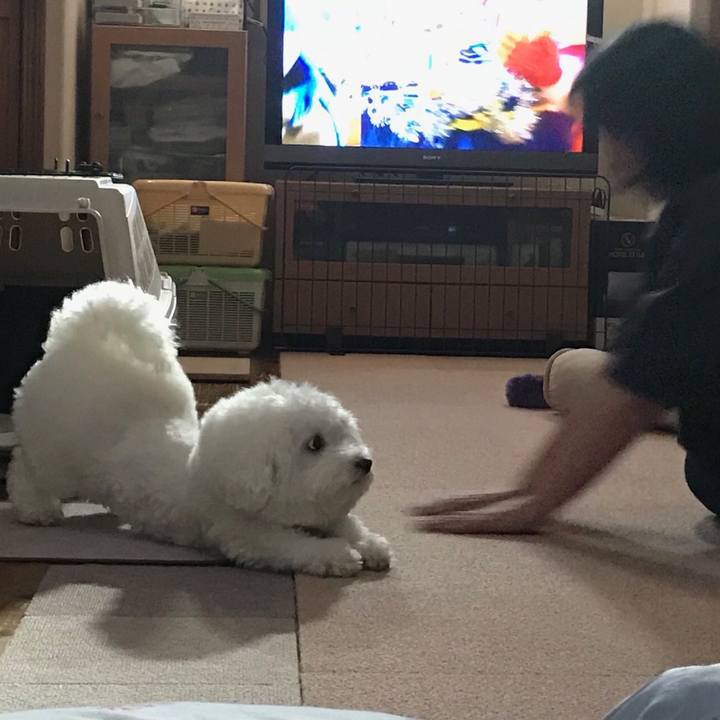 Cef86e20 ea38 47ea bb54 5b128119ec1d 1568023097563