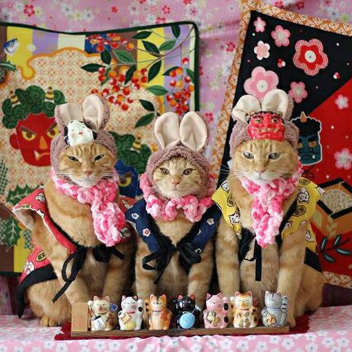 Cef873e8 b75c 46f5 bd8f b16d70e7230b 1549152701121