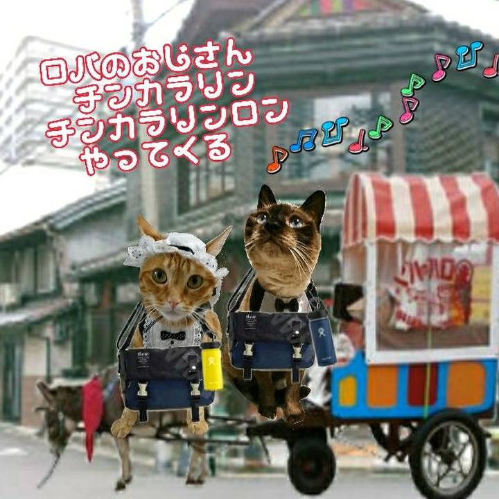 Cef8fecb dd9c 4cf0 90a2 0817cd2ac375 1560293749647