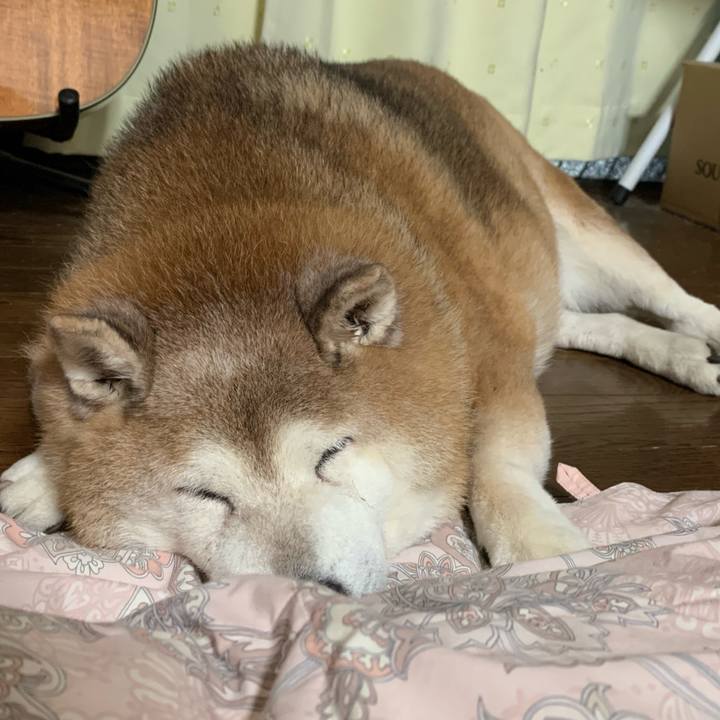 Cef91e9d d298 4037 a459 07c70b07bb01 1628688278317