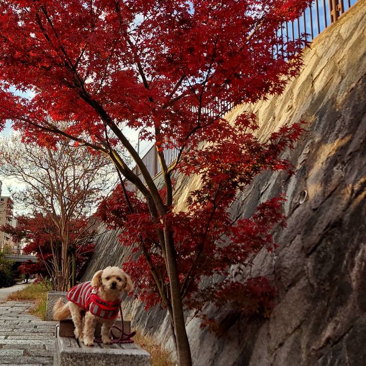 Cef93db6 e30a 4458 8e54 dc1a23de8f3c 1701560887610