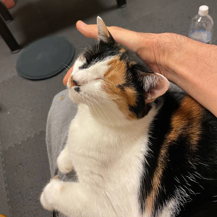 Cef9595f 920f 4016 93b4 b4e6e48adb94 1717246321528