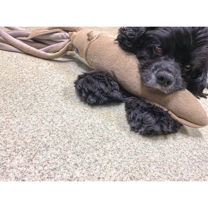 Cef967ed 1ffd 4632 944f ebadbbd9e4ae 1602765336836