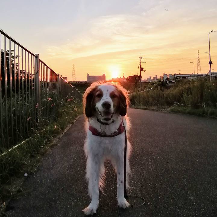 Cef992fd 3eb0 4080 b45f 711125e488c6 1633434333293