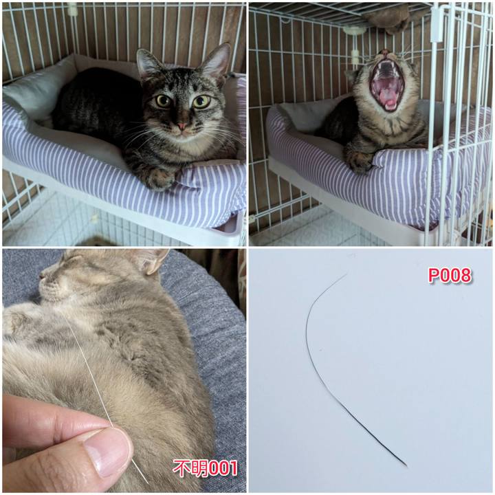 Cef9a5ac 5d82 4ba0 8d34 cba6167aa600 1713673454422